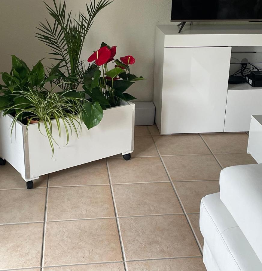 Apartmán Le Lotois Les Ondines Souillac Exteriér fotografie